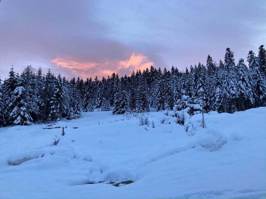 Le Perchoir Du Grand Valtin - Gite 9 Personnes - Altitude 830 Ban-sur-Meurthe-Clefcy ภายนอก รูปภาพ