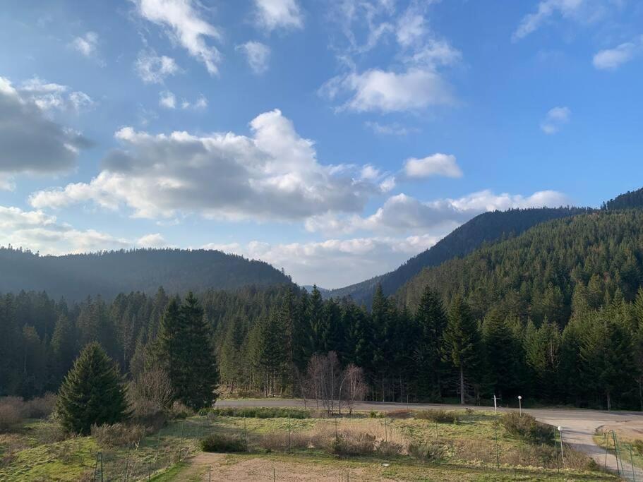 Le Perchoir Du Grand Valtin - Gite 9 Personnes - Altitude 830 Ban-sur-Meurthe-Clefcy ภายนอก รูปภาพ