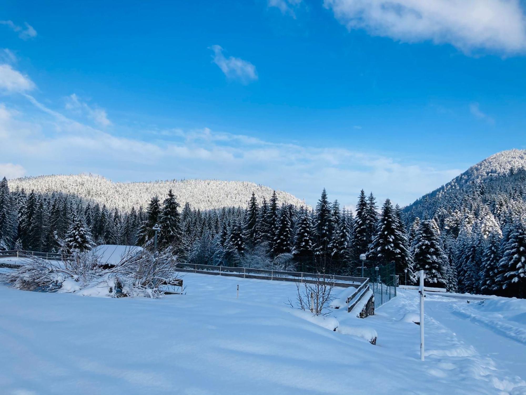 Le Perchoir Du Grand Valtin - Gite 9 Personnes - Altitude 830 Ban-sur-Meurthe-Clefcy ภายนอก รูปภาพ