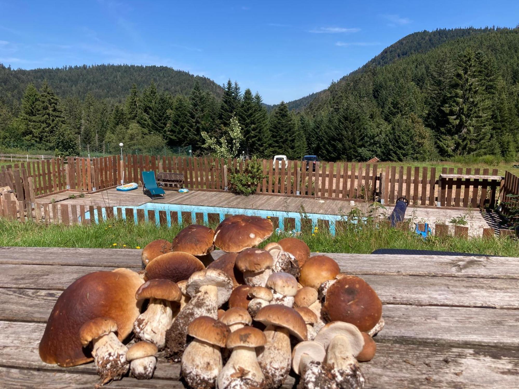 Le Perchoir Du Grand Valtin - Gite 9 Personnes - Altitude 830 Ban-sur-Meurthe-Clefcy ภายนอก รูปภาพ