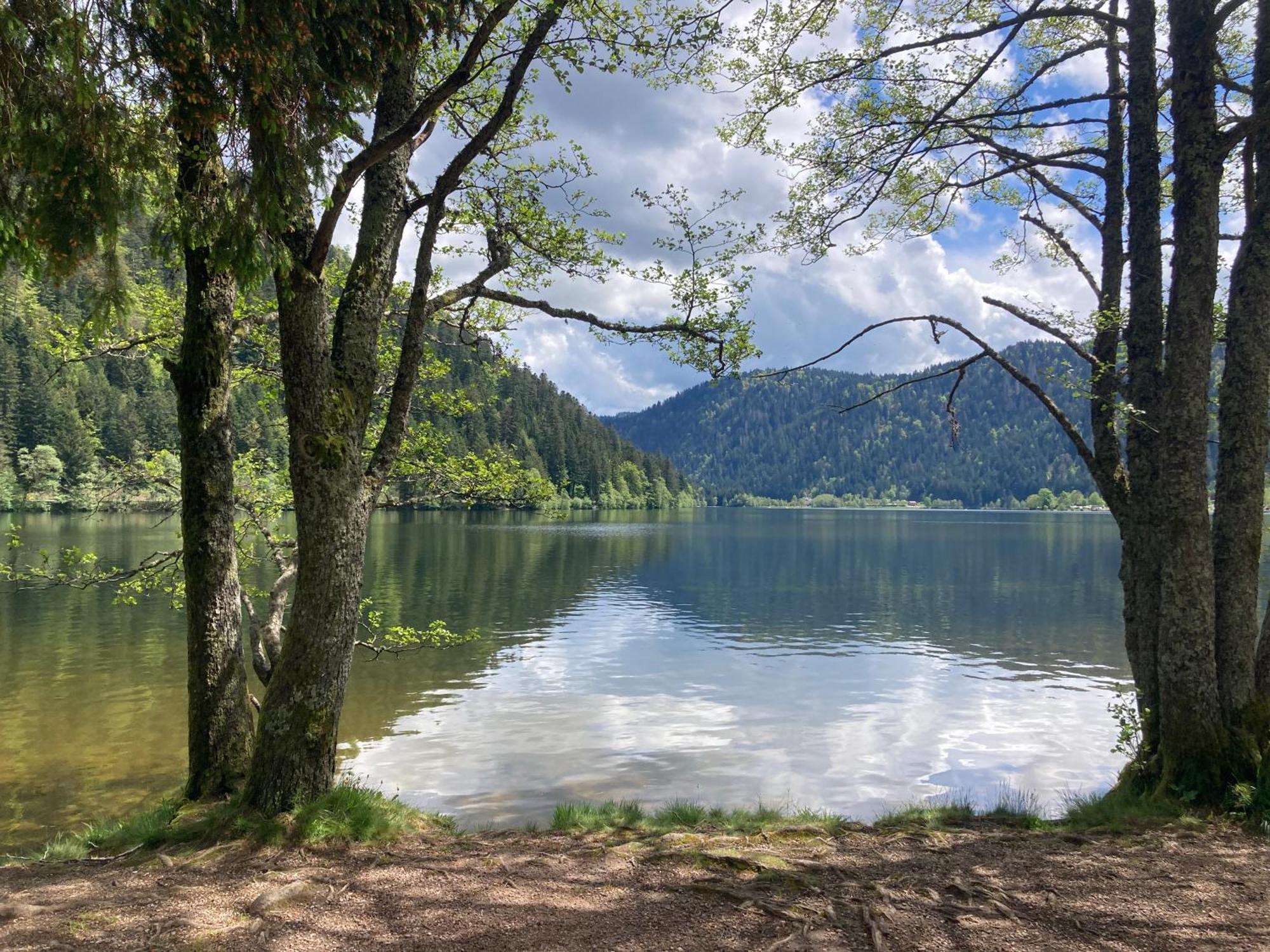 Le Perchoir Du Grand Valtin - Gite 9 Personnes - Altitude 830 Ban-sur-Meurthe-Clefcy ภายนอก รูปภาพ