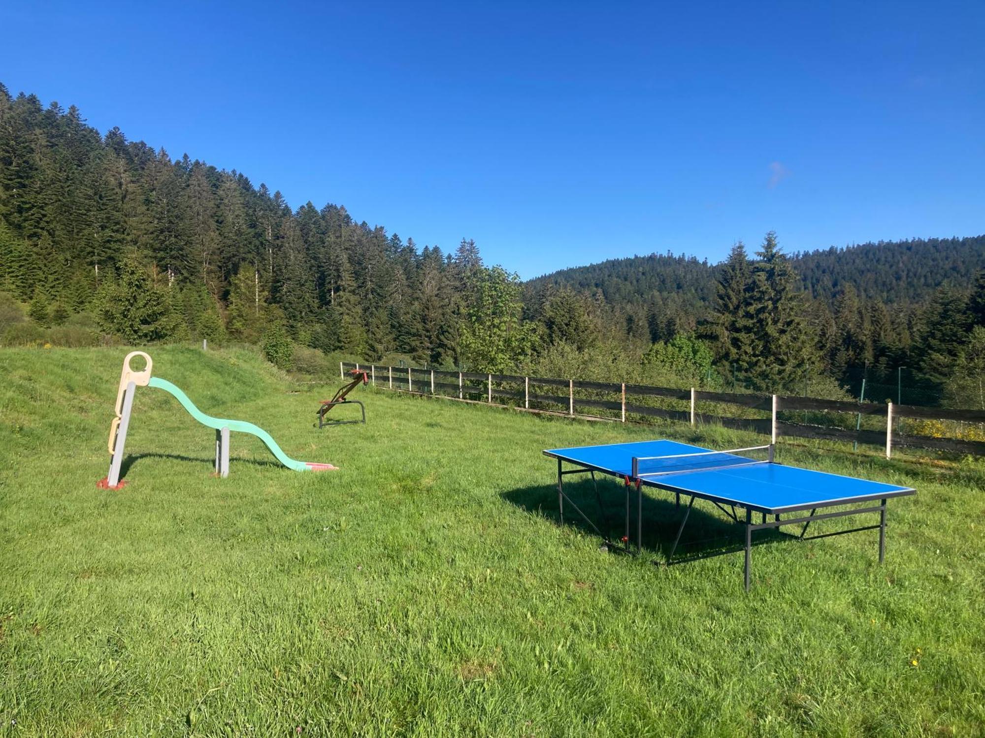 Le Perchoir Du Grand Valtin - Gite 9 Personnes - Altitude 830 Ban-sur-Meurthe-Clefcy ภายนอก รูปภาพ