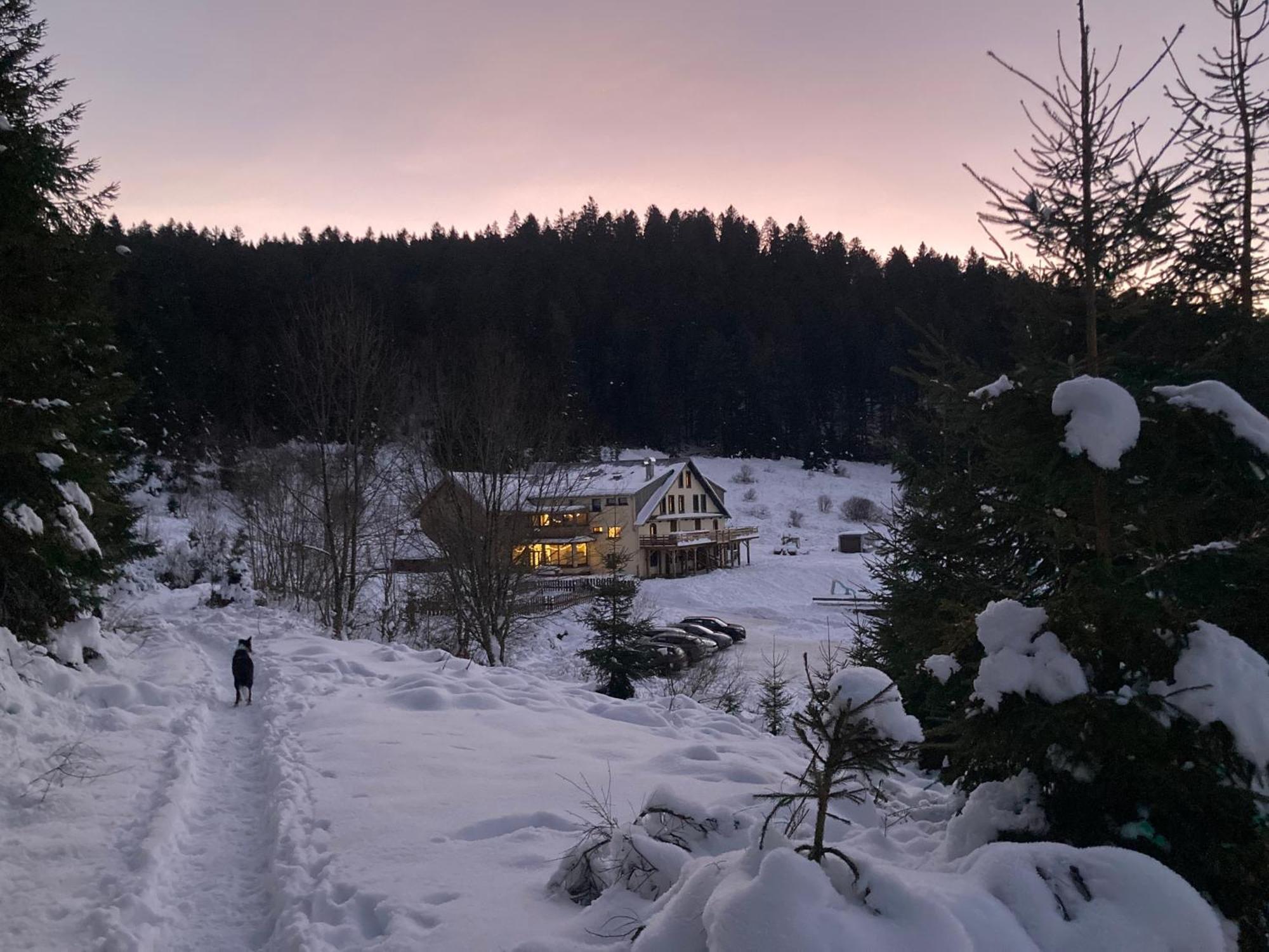 Le Perchoir Du Grand Valtin - Gite 9 Personnes - Altitude 830 Ban-sur-Meurthe-Clefcy ภายนอก รูปภาพ